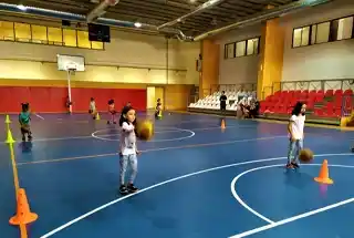 Multipurpose Sports Court